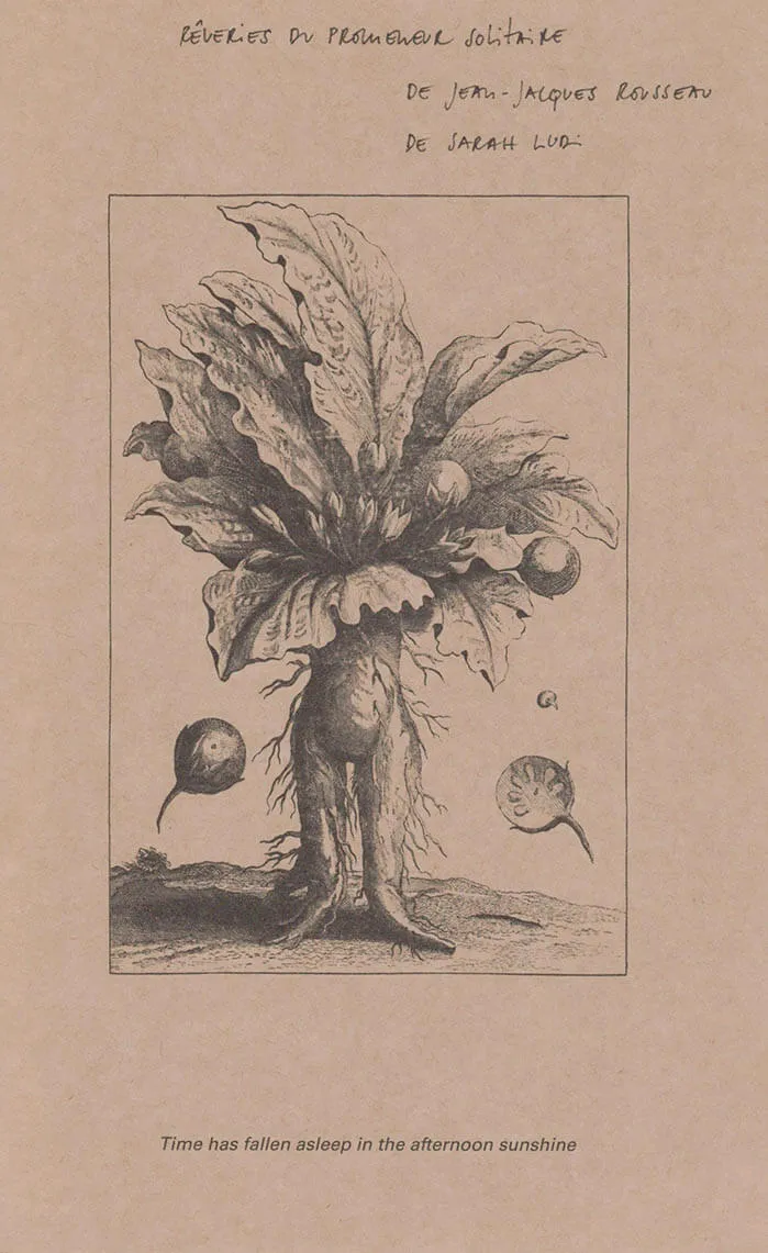 Cover of Rêveries du promeneur solitaire