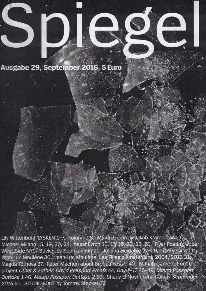 Cover of ztscript 29 : Spiegel