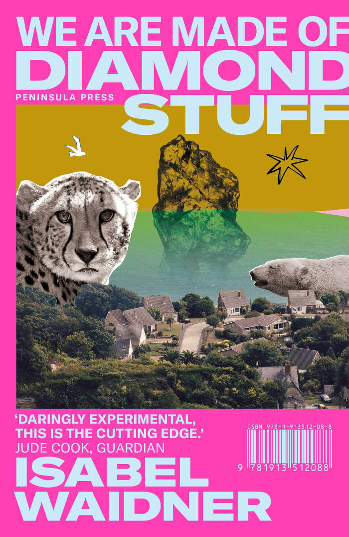 Cover of We Are Made of Diamond Stuff