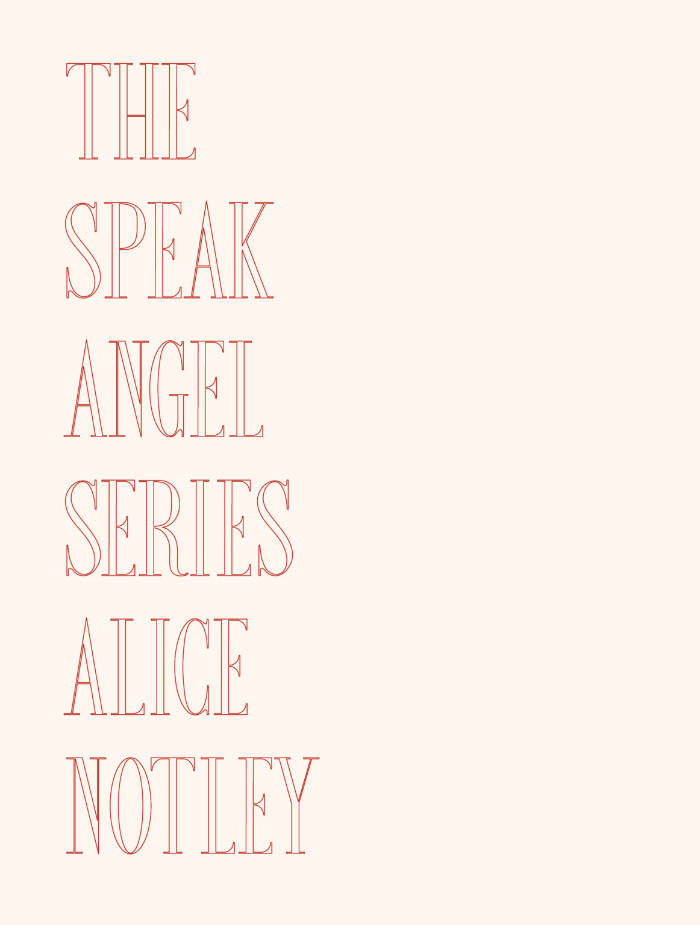 Cover of The Speak Angel Series