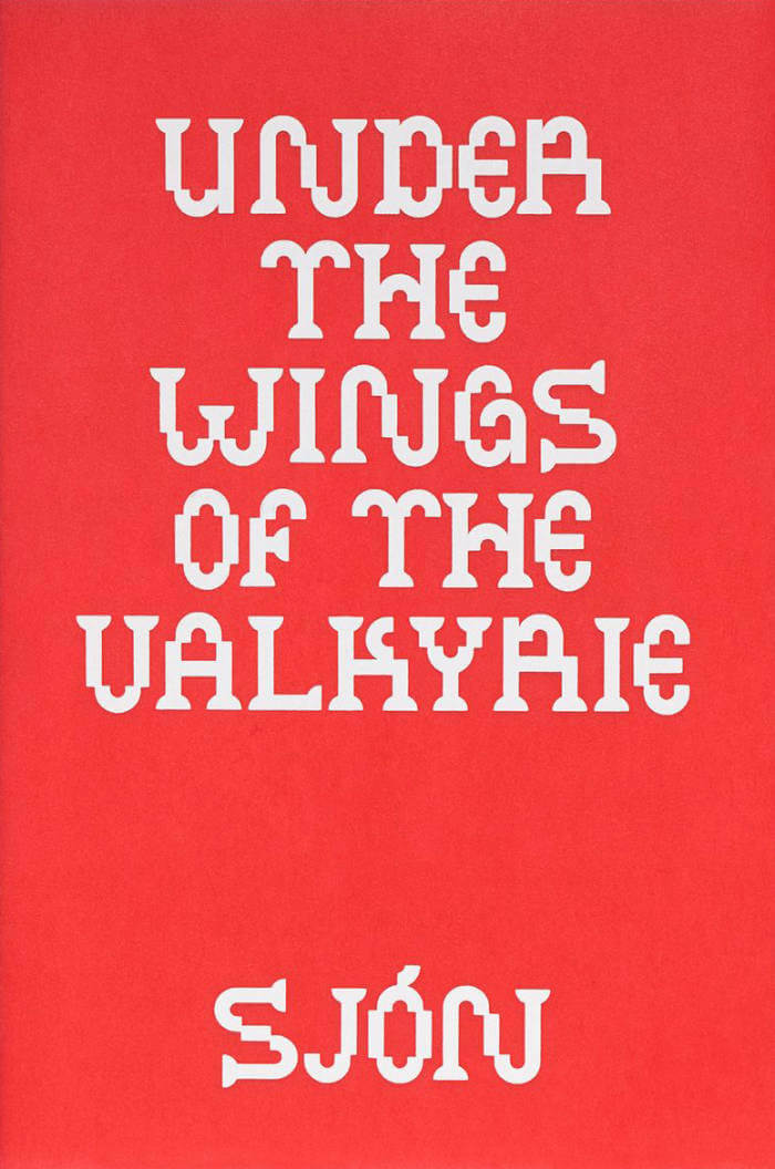 Cover of Under the Wings of the Valkyrie
