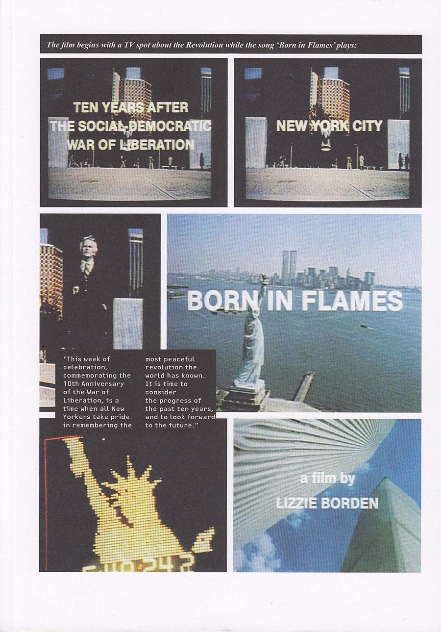 Cover of Born in Flames