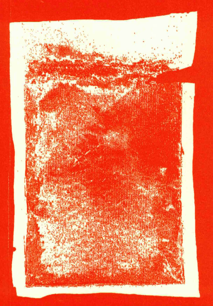 Cover of More Than Chilli
