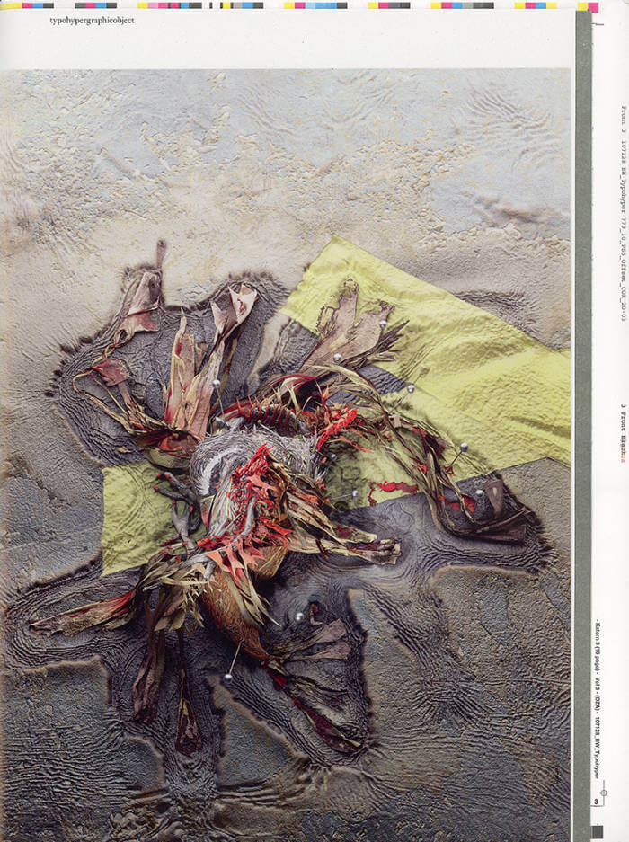 Cover of typohypergraphicobject