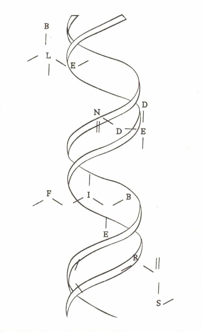 Cover of Blended Fibers