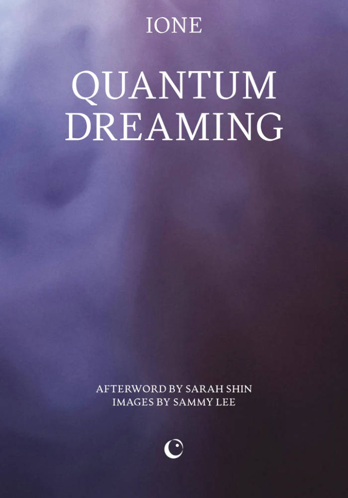 Cover of Quantum Dreaming