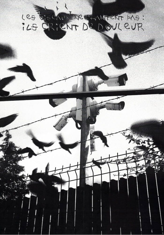 Cover of Miam 09 : Les oiseaux ne chantent pas : ils crient de douleur