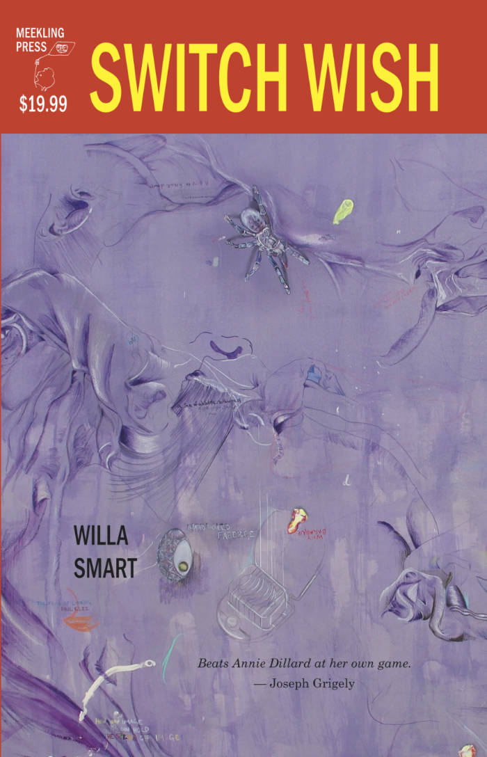 Cover of Switch Wish