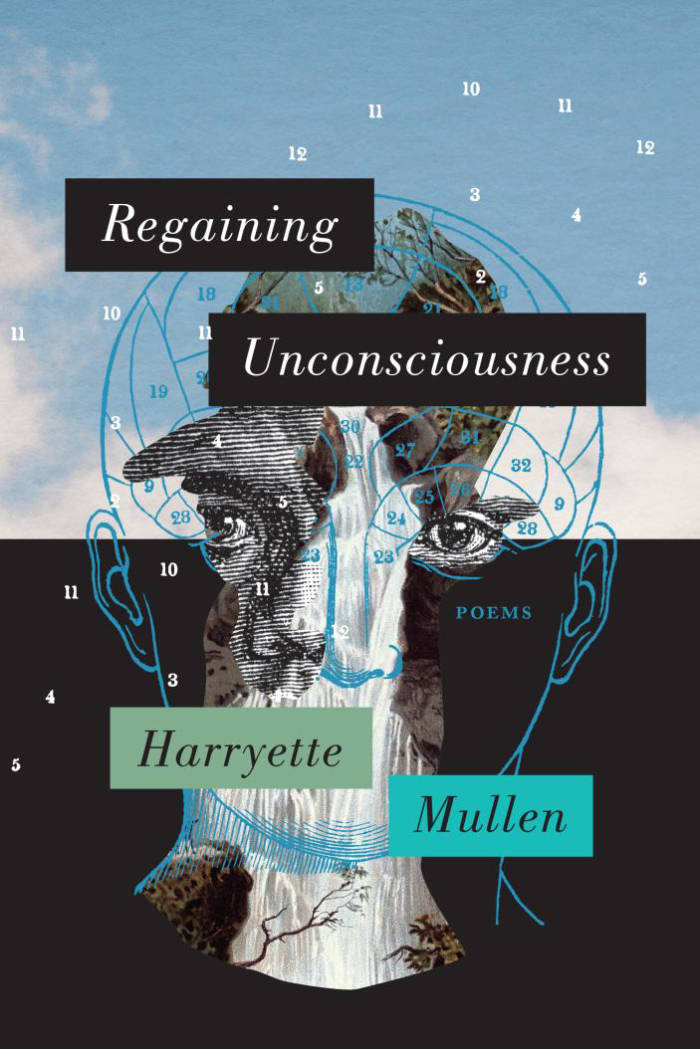 Cover of Regaining Unconsciousness: Poems