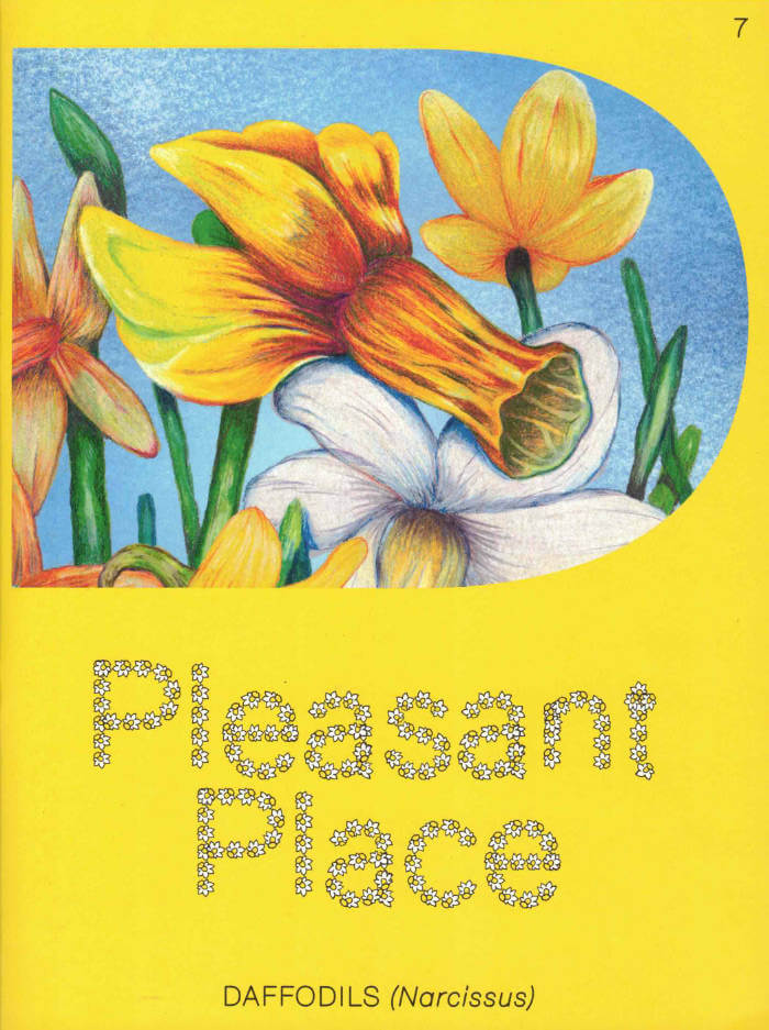 Cover of Issue 7: Daffodils