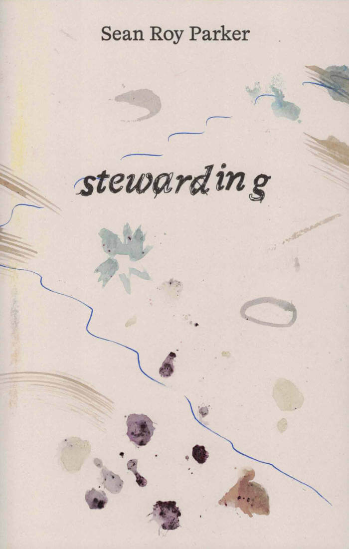 Cover of stewarding