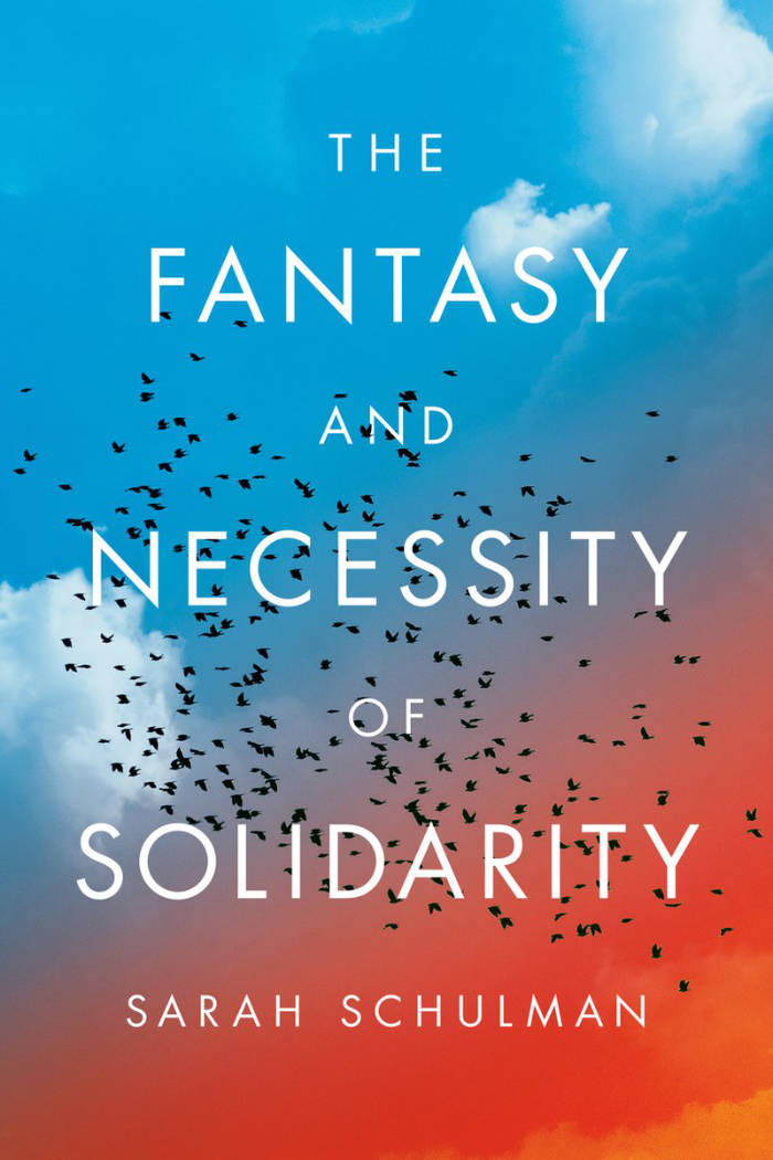 Cover of The Fantasy and Necessity of Solidarity