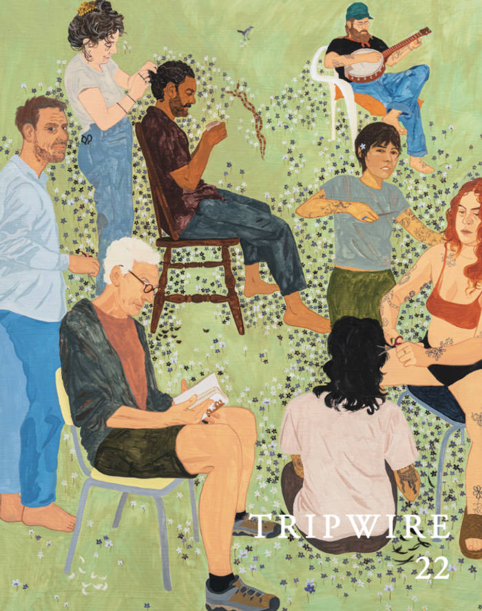 Cover of Tripwire 22