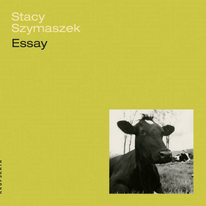 Cover of Essay