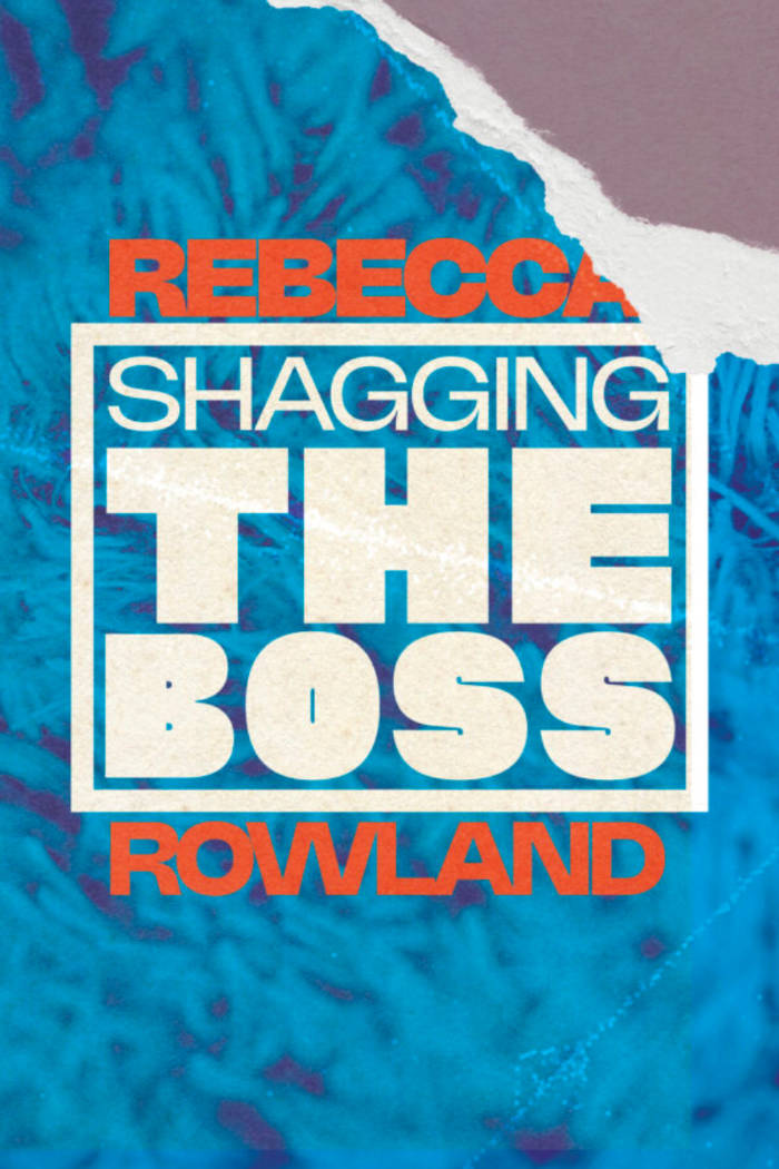 Cover of Shagging the Boss