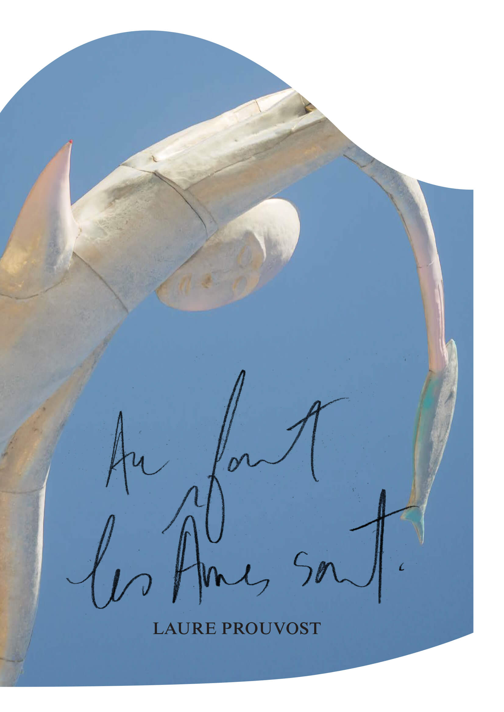 Cover of Au fort les âmes sont