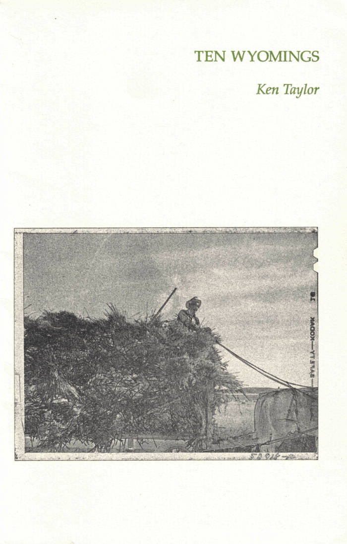 Cover of 10 Wyomings