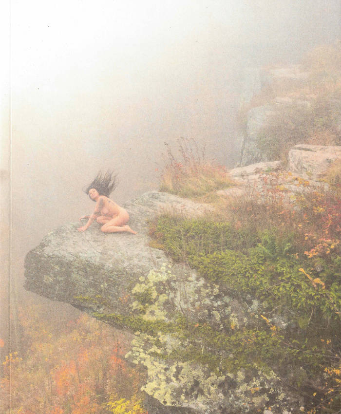Cover of Butterflies Come Out At Night