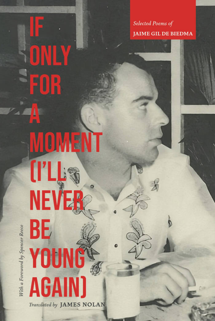 Cover of If Only For a Moment (I’ll Never Be Young Again)