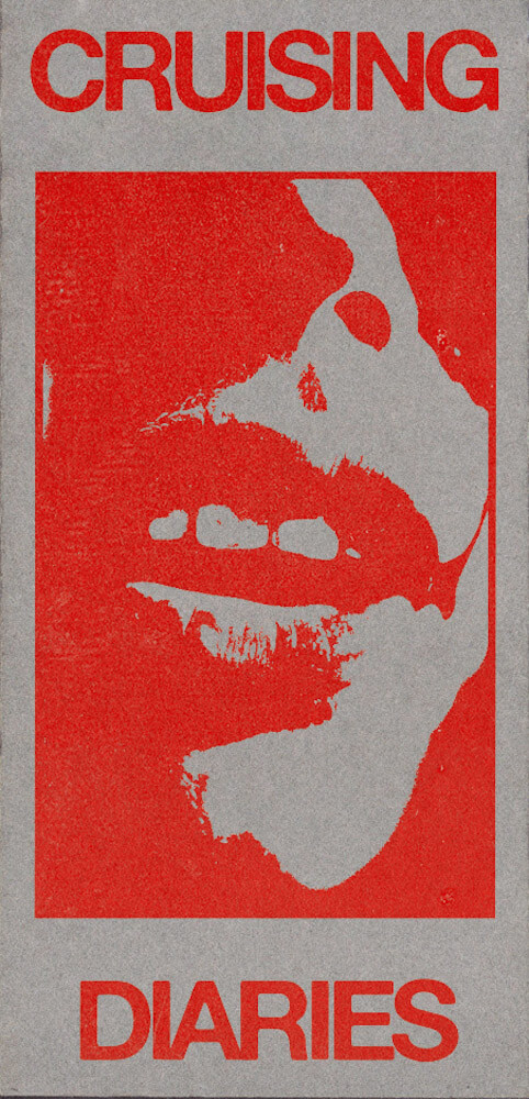 Cover of Cruising Diaries