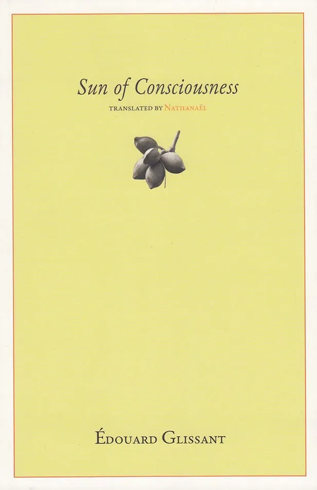 Cover of Sun of Consciousness