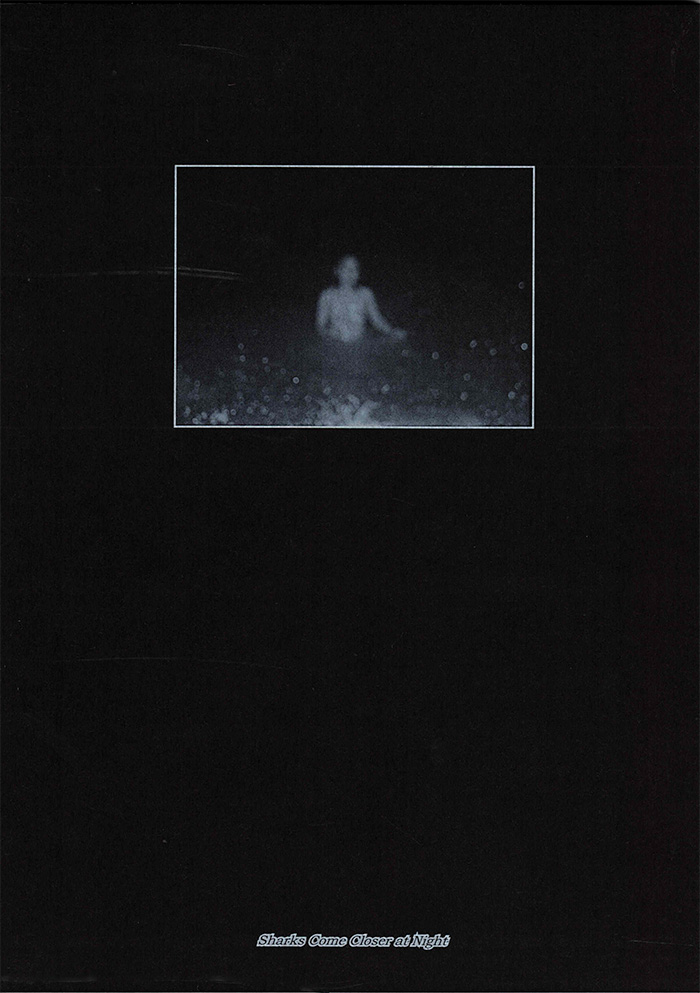 Cover of Sharks Come Closer at Night