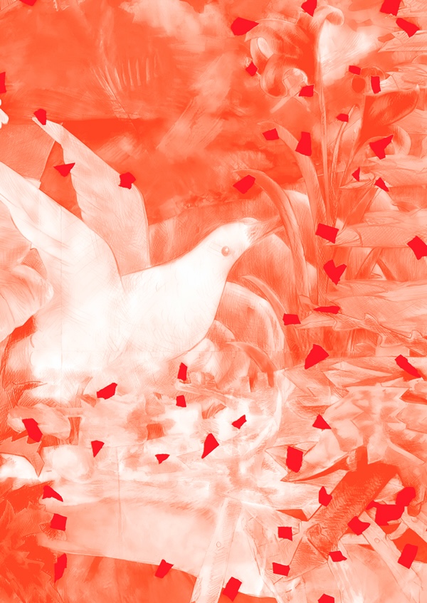 Cover of First Nettles