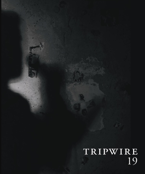Cover of Tripwire 19
