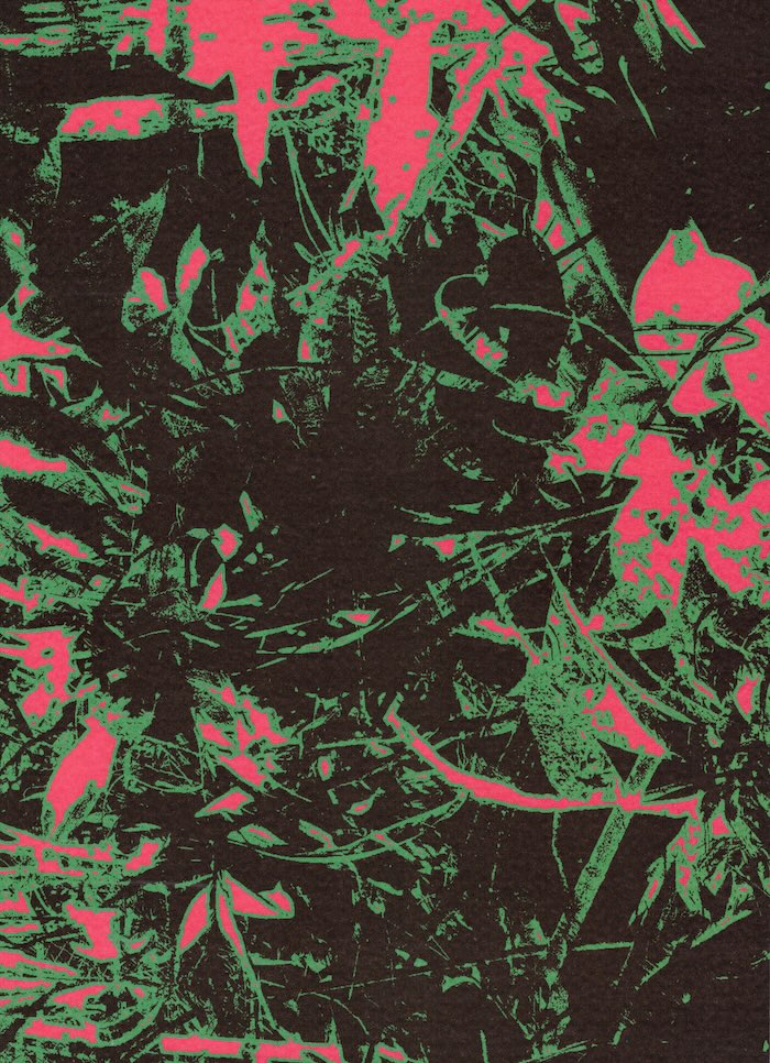 Cover of Publiek Park