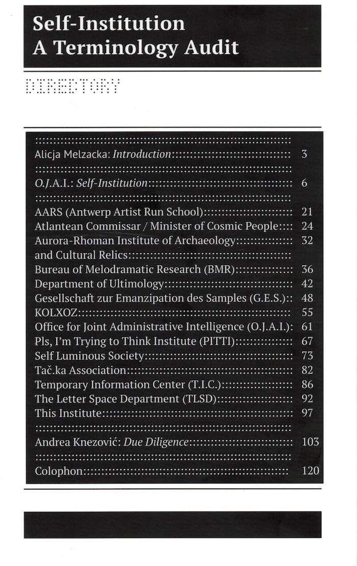 Cover of Self-Institution A Terminology Audit