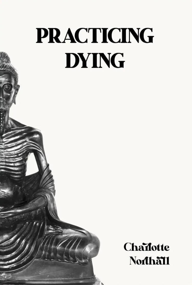 Cover of Practicing Dying
