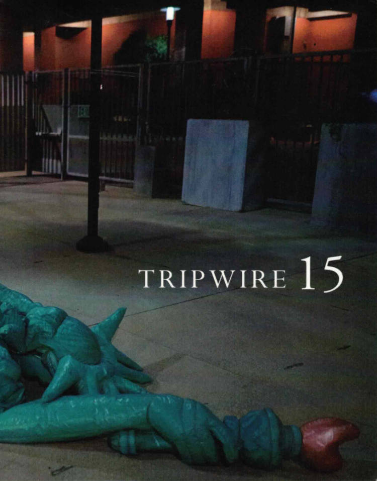 Cover of Tripwire 15 - Narrative/Prose