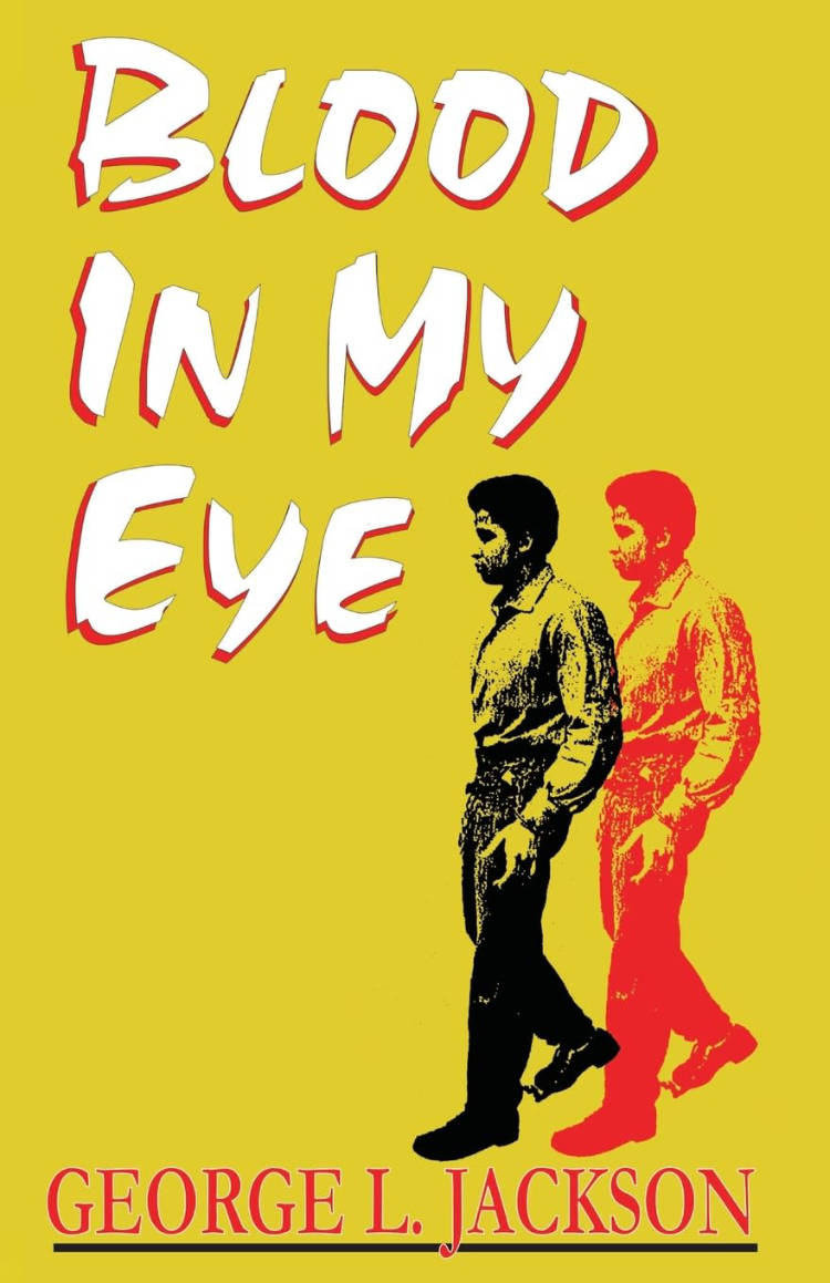 Cover of Blood In My Eye