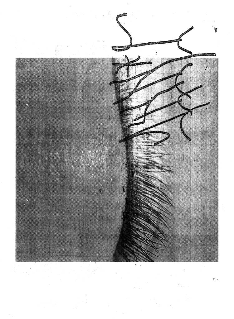 Cover of inner GLOw' replica