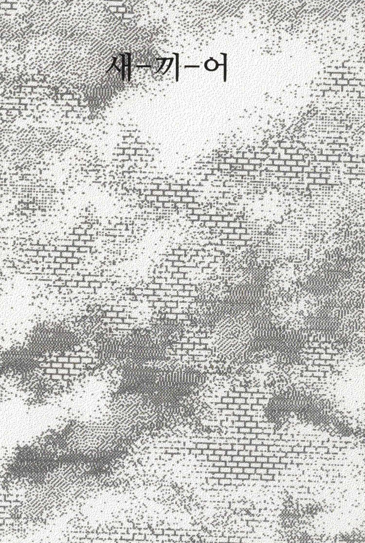 Cover of sae-kki-eo by AFSAR Si詩Salon(Poetry Salon)