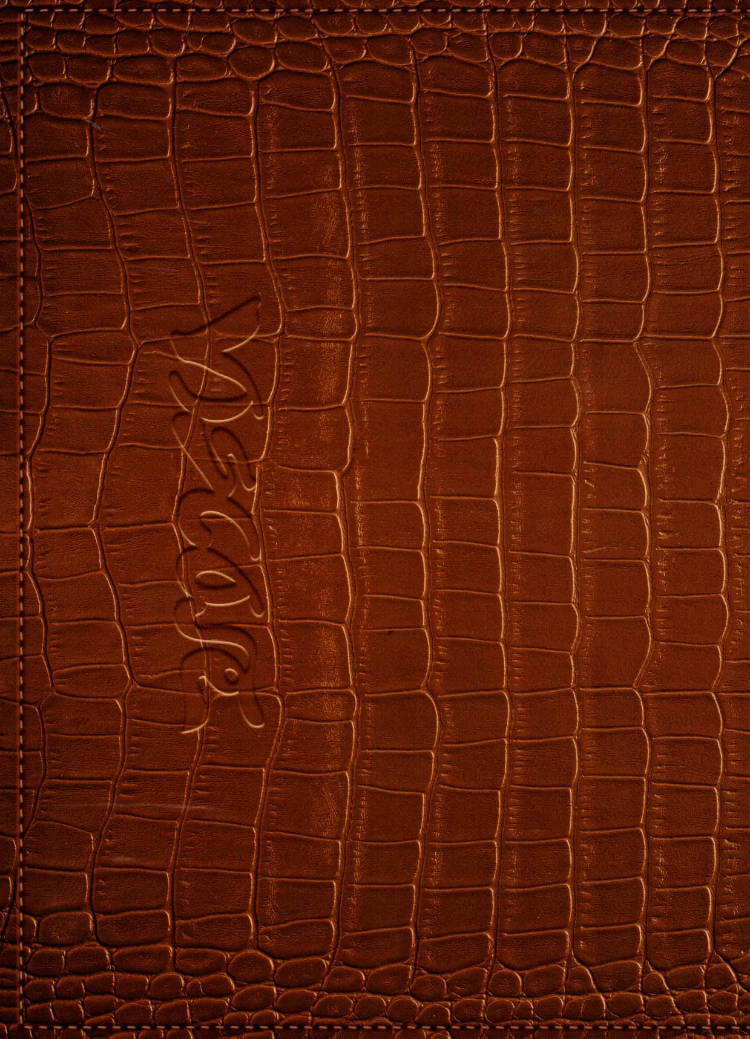 Cover of Viscose 01: Style