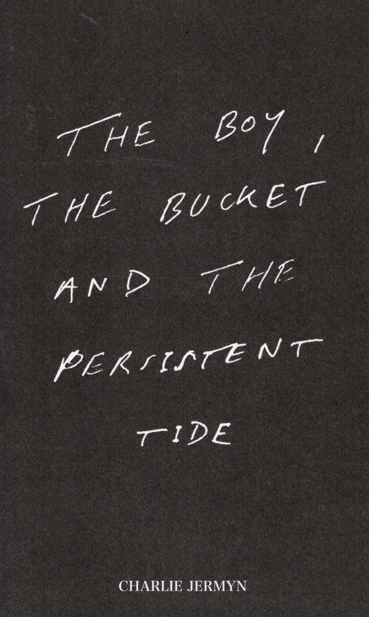 Cover of the boy, the bucket and the persistent tide