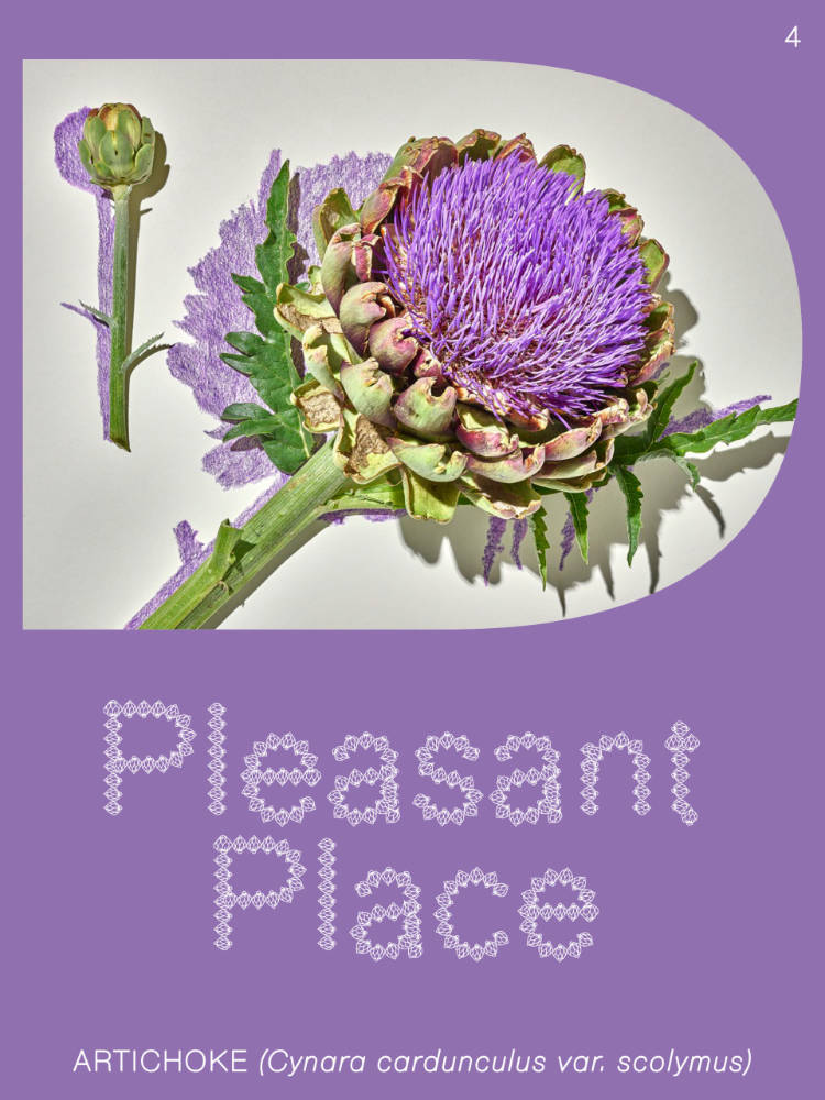 Cover of Pleasant Place 4: Artichoke