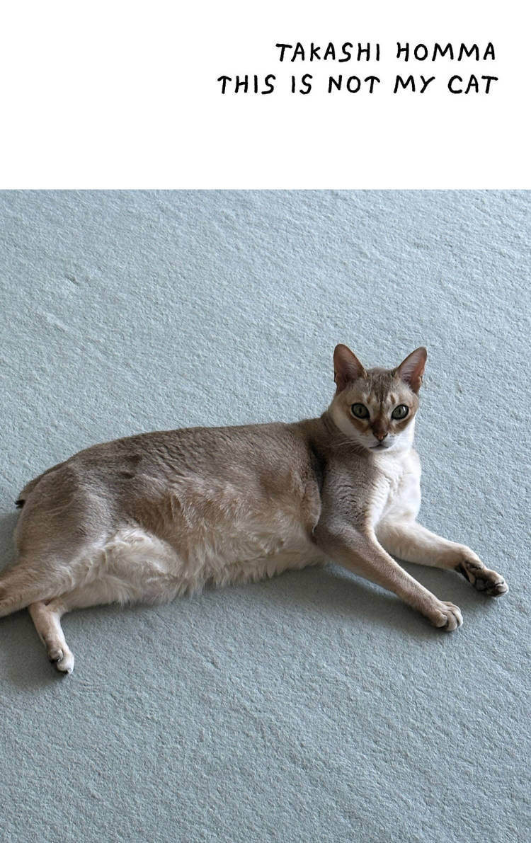 Cover of This Is Not My Cat