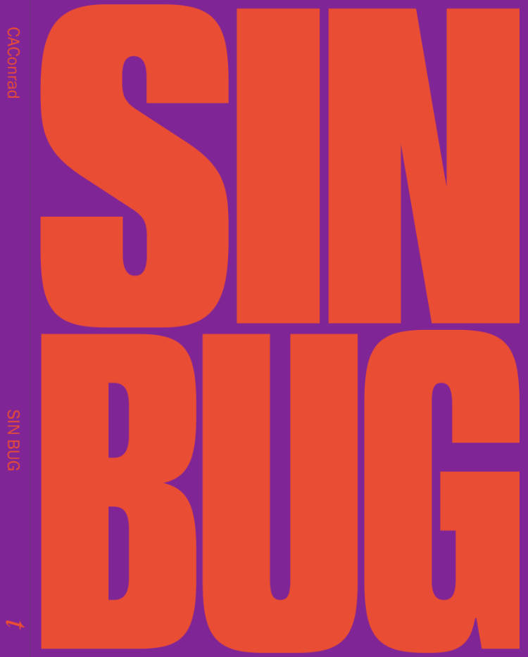 Cover of SIN BUG