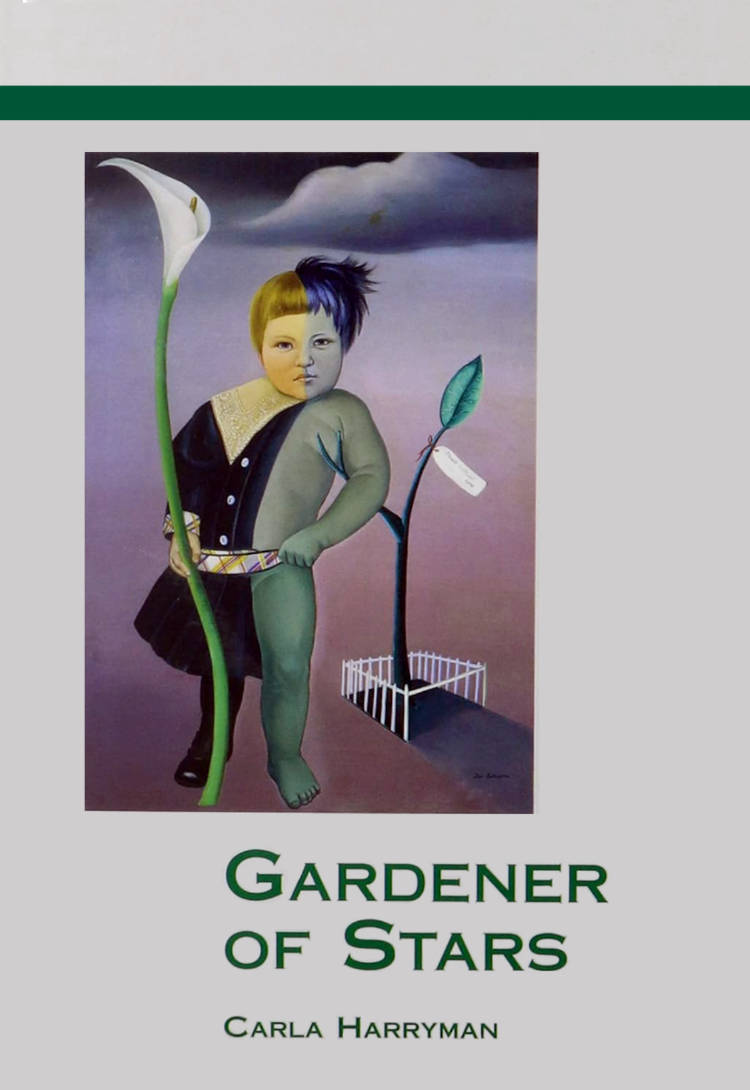 Cover of Gardener of Stars