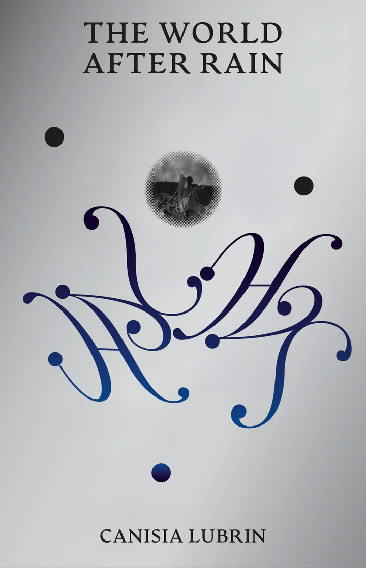 Cover of The World After Rain