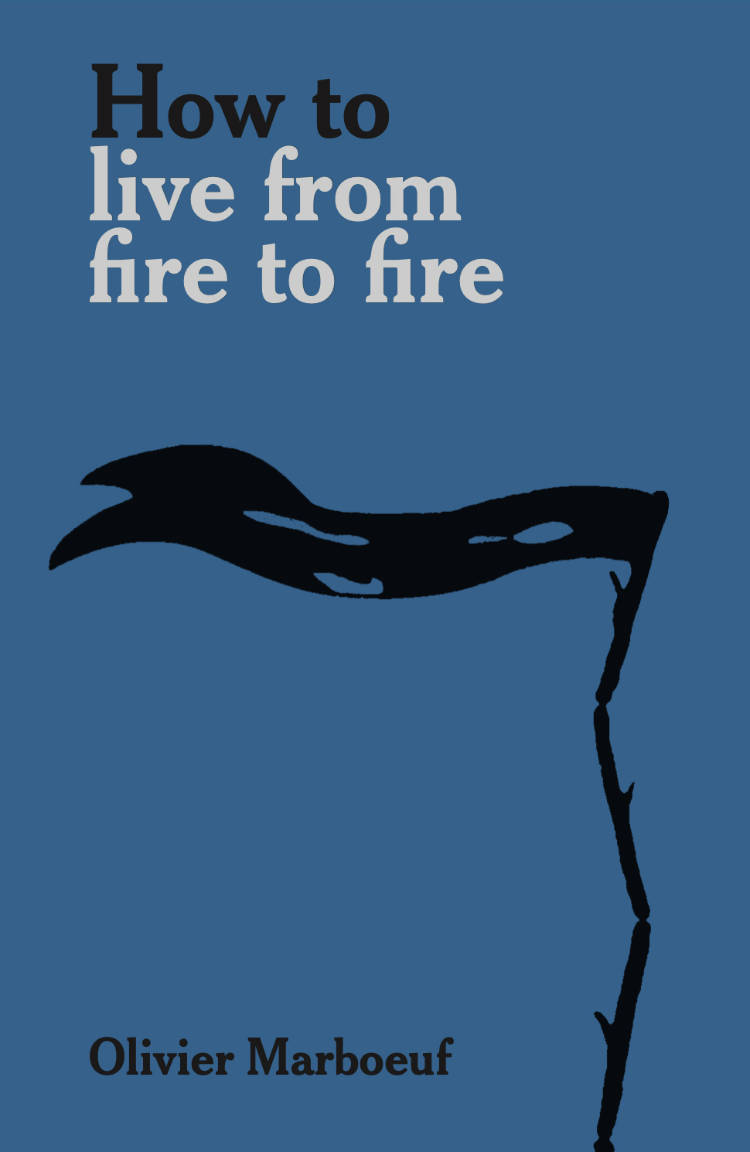 Cover of How to live from fire to fire