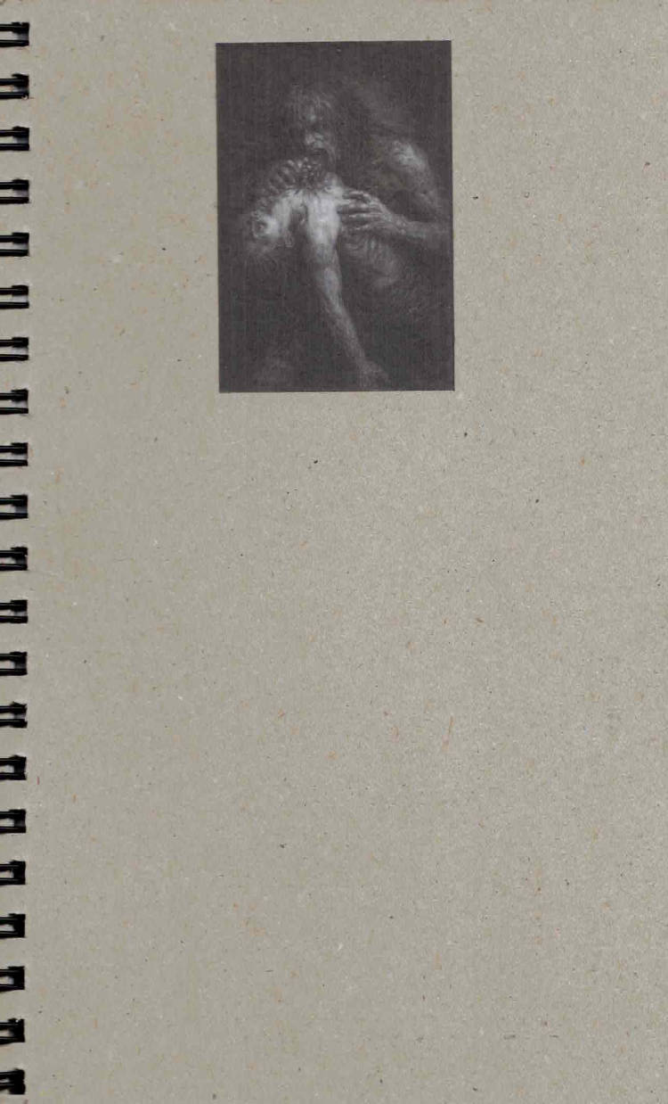 Cover of A Psalm for the Third Wind