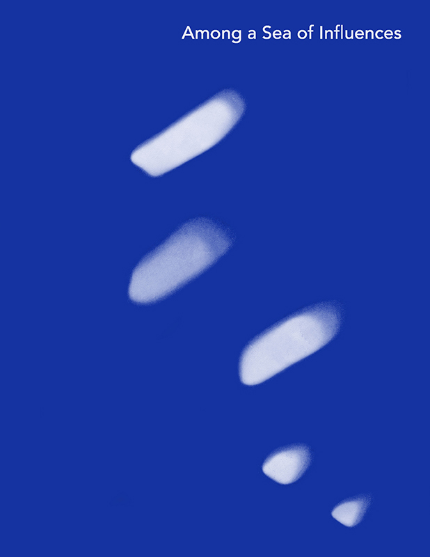 Cover of Among a Sea of Influences