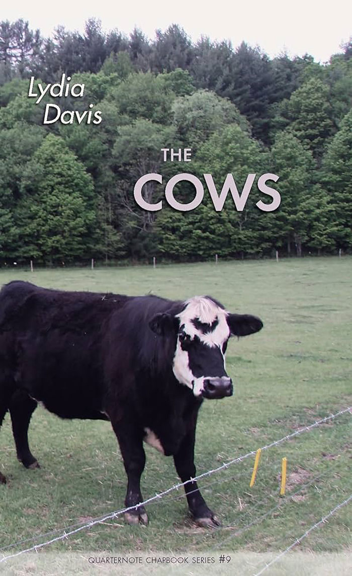 Cover of The Cows
