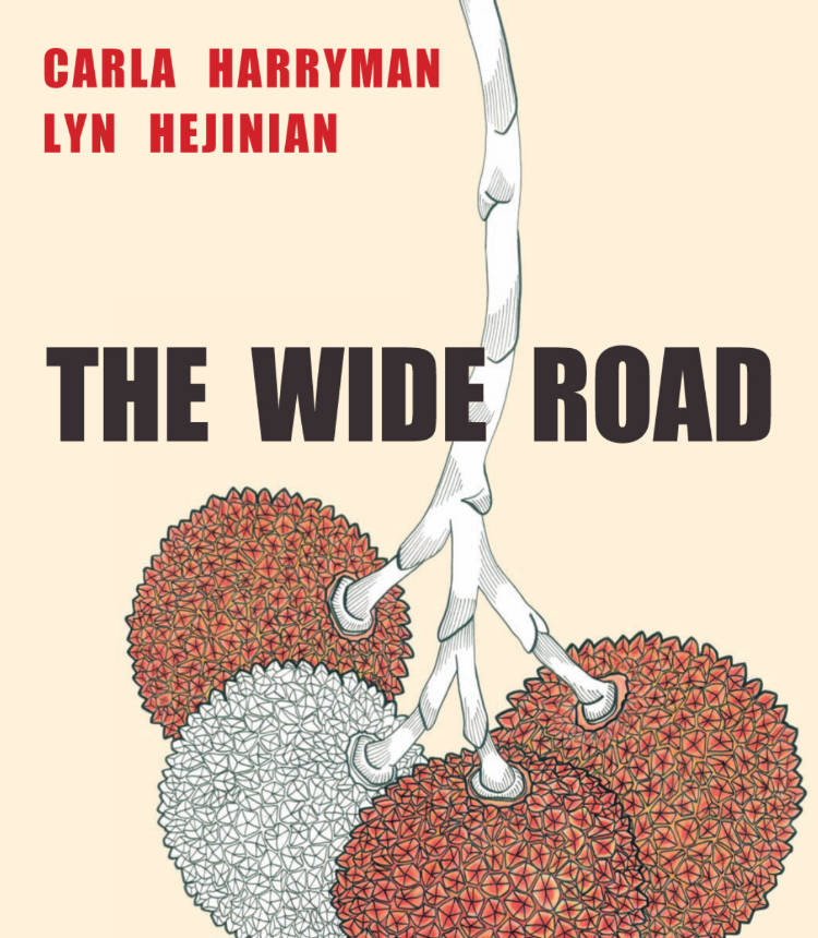 Cover of The Wide Road