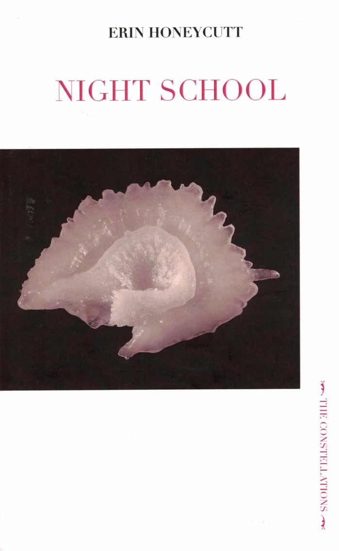 Cover of Night School