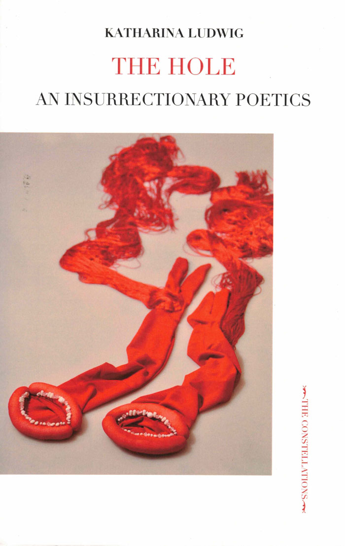 Cover of The Hole: An Insurrectionary Poetic