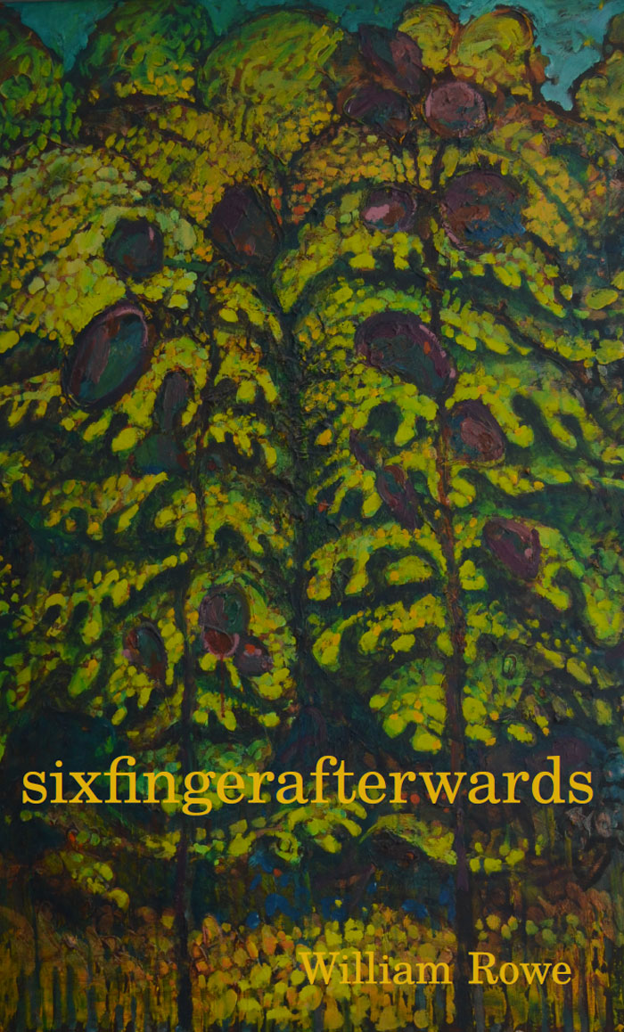 Cover of SIXFINGERAFTERWARDS